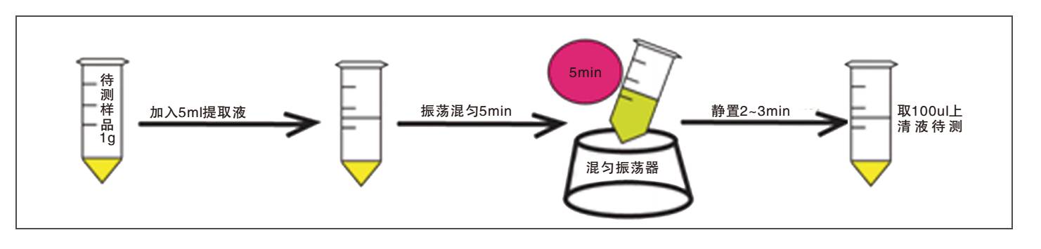 饲料中呕吐毒素荧光快速检测试纸条