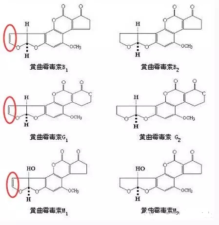 黄曲霉毒素结构