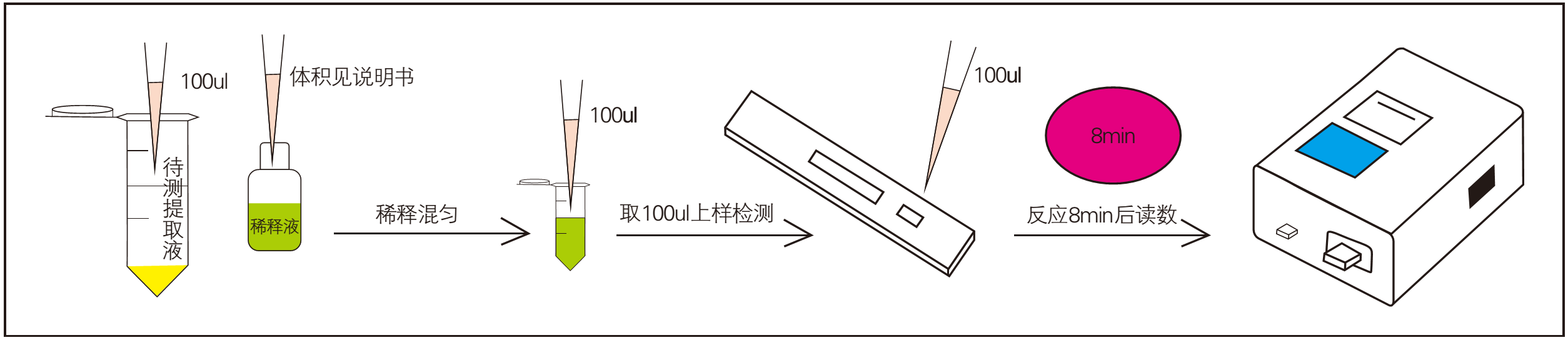 霉菌毒素快速检测过程