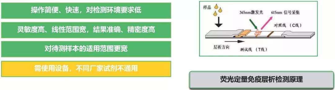 荧光定量免疫层析法