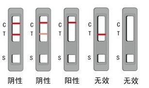 胶体金试纸条法