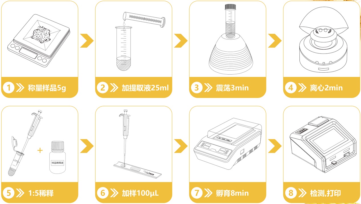粮食真菌毒素检测流程图