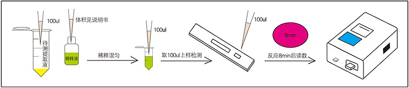 赭曲霉检测过程