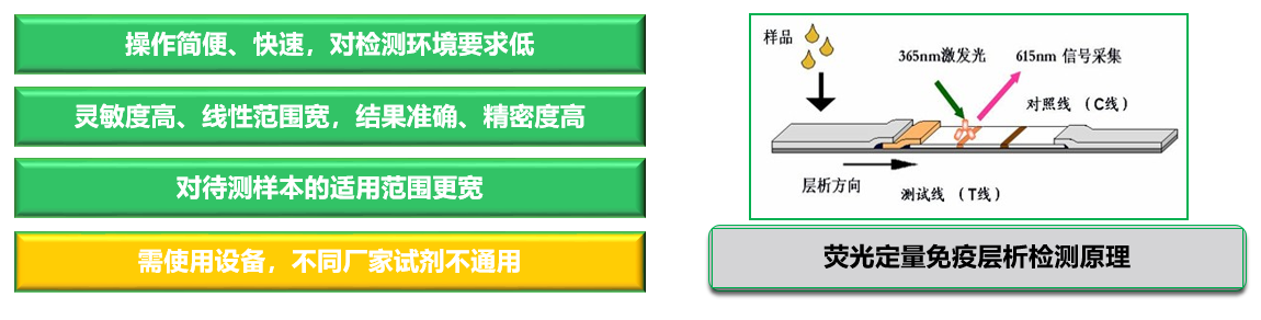 饲料赭曲霉毒素快速检测卡