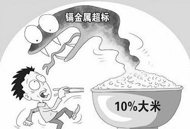 粮食重金属超标 粮食重金属超标