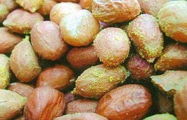 花生黄曲霉毒素 花生黄曲霉毒素